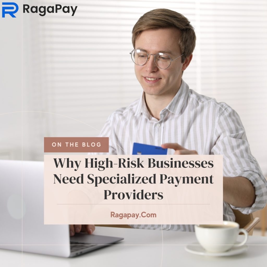 Specialized payment providers supporting high-risk business payment processing